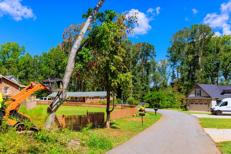 Large Tree Service detail