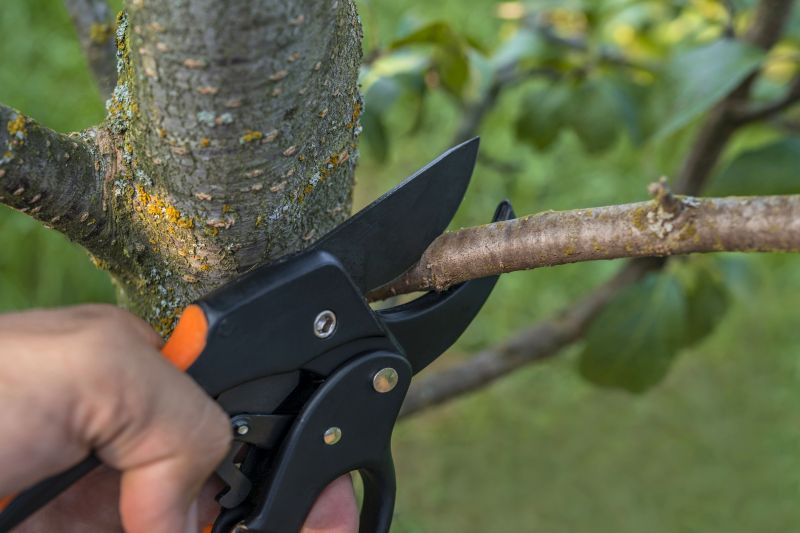 Large Tree Service detail